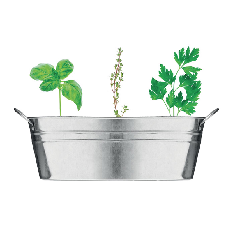 Planter zinc with herbs - Image 5